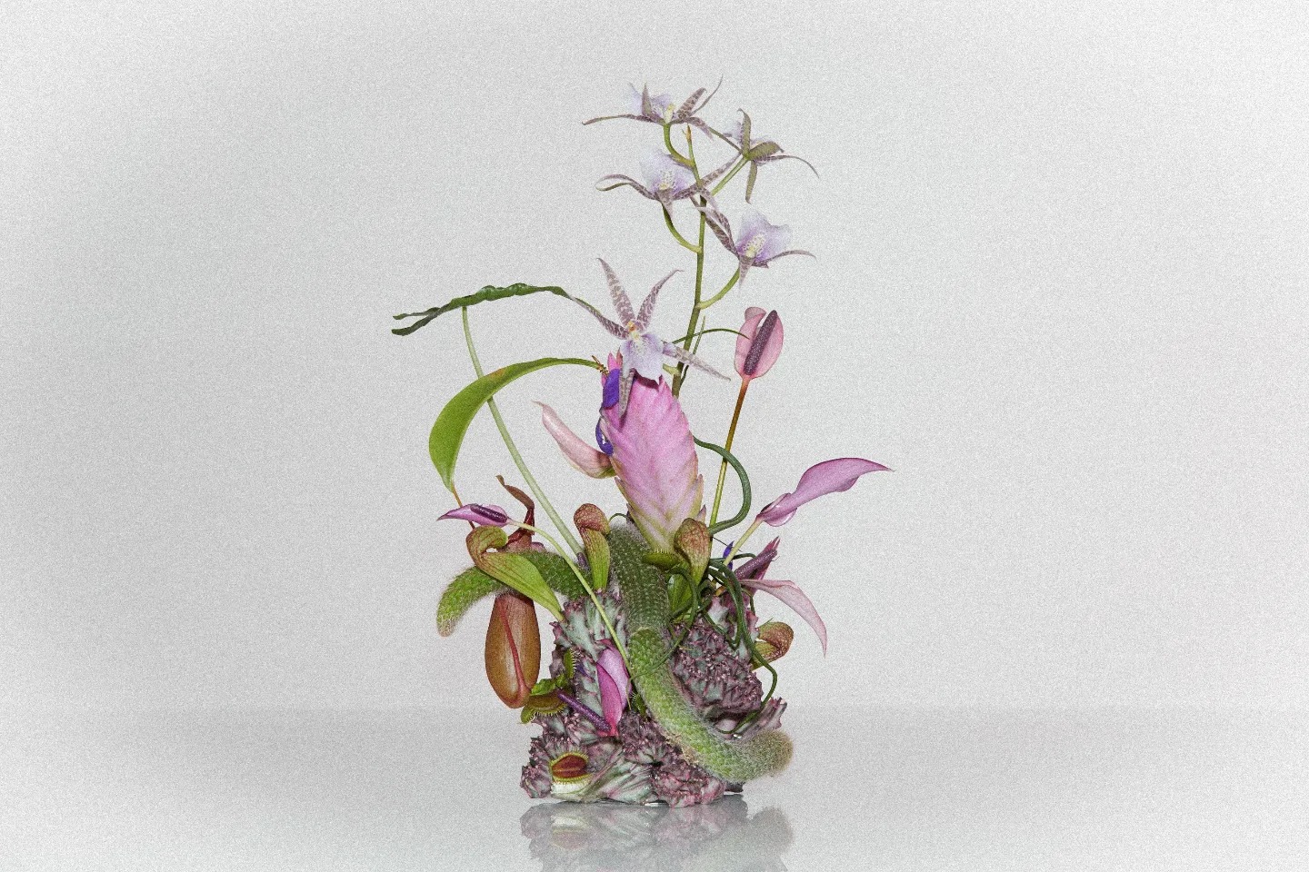 들다 클래스 메인 이미지